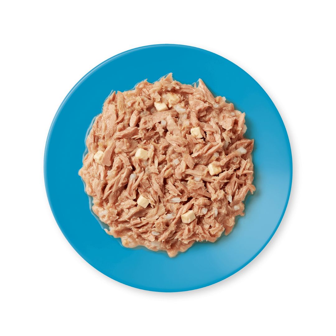 APPLAWS Conserva, Hrana Umeda pentru Pisici, Adult, cu File de Ton si Branza, 100% Natural, 70g / 156g