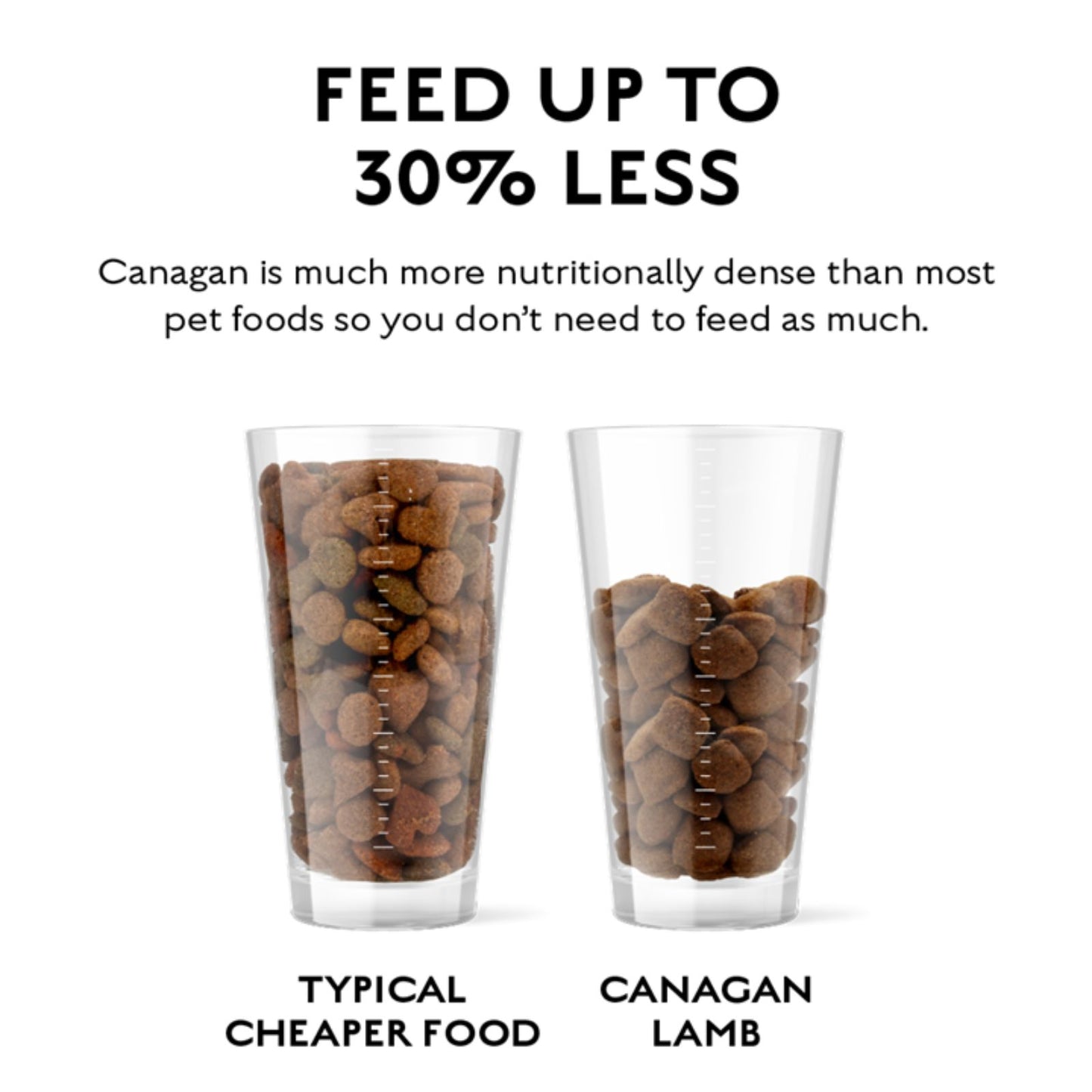 Canagan Grass-Fed Lamb, Hrana Ultra Premium pentru Caini cu Miel Crescut cu Iarba si Cartof Dulce, 12kg / 2kg