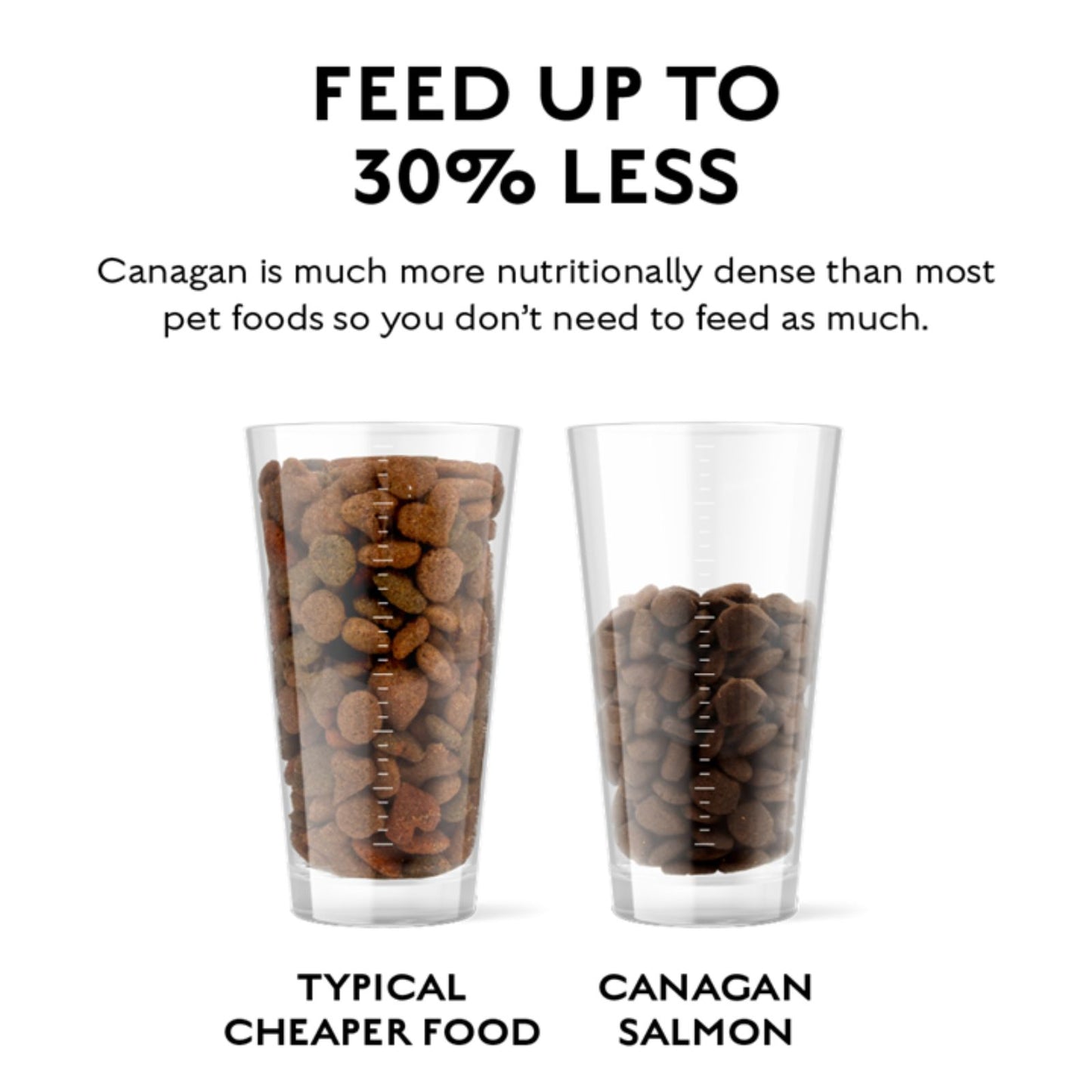 Canagan Scottish Salmon, Hrana Ultra Premium pentru Caini cu Somon Scotian, Pastrav si Hering, 12kg / 2kg