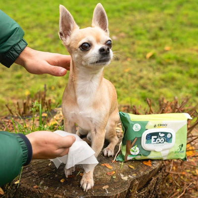 Croci Eco Pet Wipes, Servetele Umede Biodegradabile pentru Caini si Pisici, cu Migdale si Unt de Shea, 30 buc, 20 x 30 cm