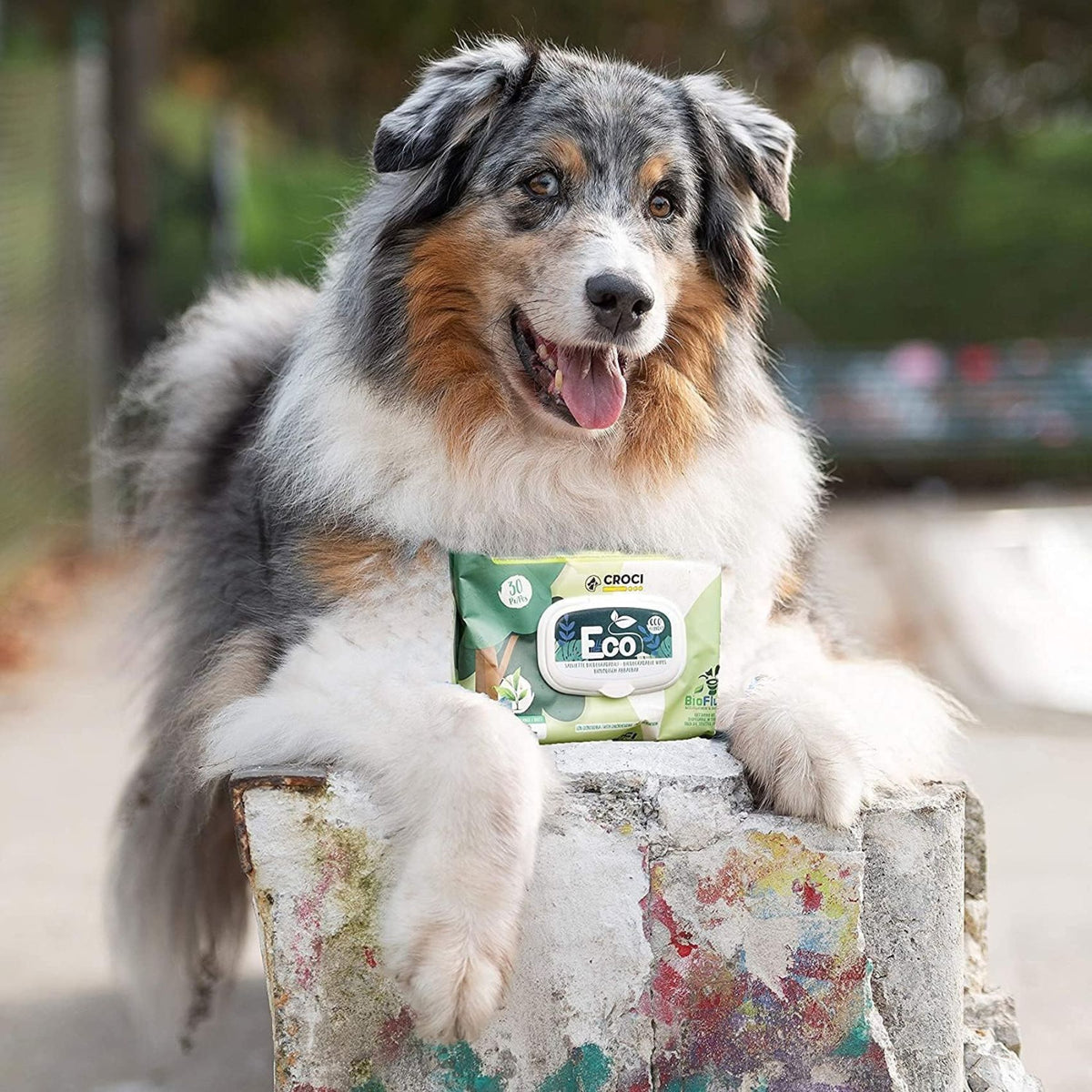 Croci Eco Pet Wipes, Servetele Umede Biodegradabile pentru Caini si Pisici, cu Migdale si Unt de Shea, 30 buc, 20 x 30 cm
