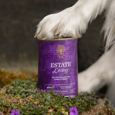 Essential Estate Living Pate, Hrana Umeda pentru Caini, Adult cu Miel si Curcan, Fara Cereale, 400g