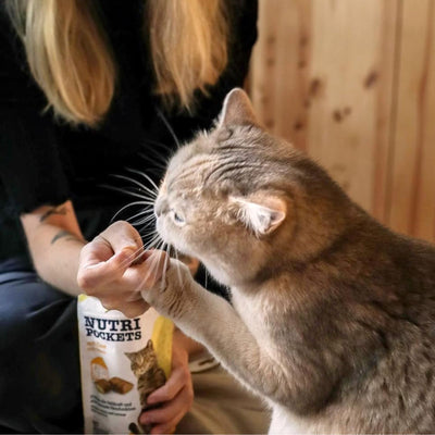 GimCat Nutri Pockets, Recompense Crocante pentru Pisici cu Branza, 60g