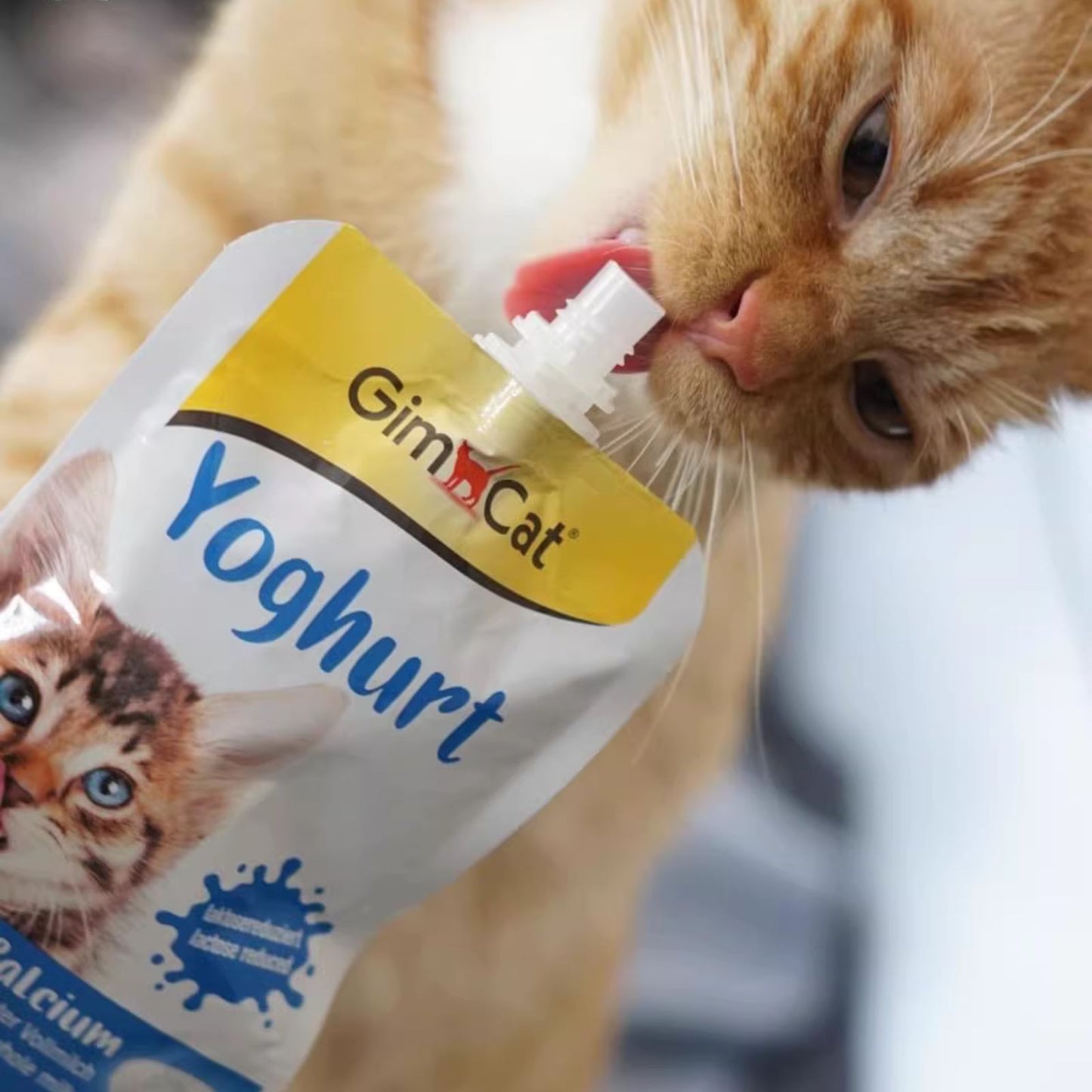 GimCat Yoghurt, Iaurt Cremos pentru Pisici (Lactoza Redusa), 150g