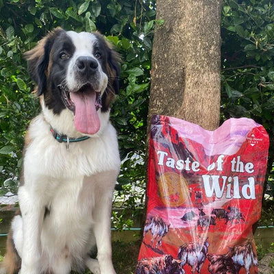 Hrana uscata pentru caini Taste of the Wild Southwest Canyon cu Mistret, 2kg / 12.2kg