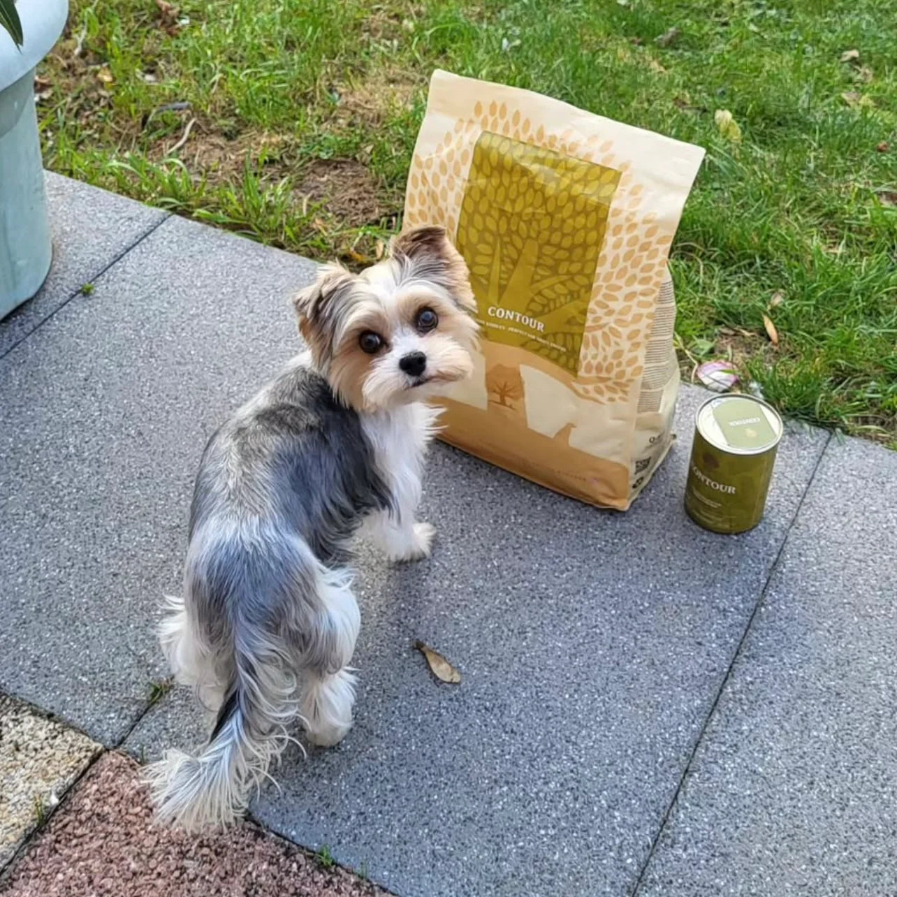 Essential Contour Pâté, Sterilizat si Controlul Greutatii, cu Rata si Pui, 400g