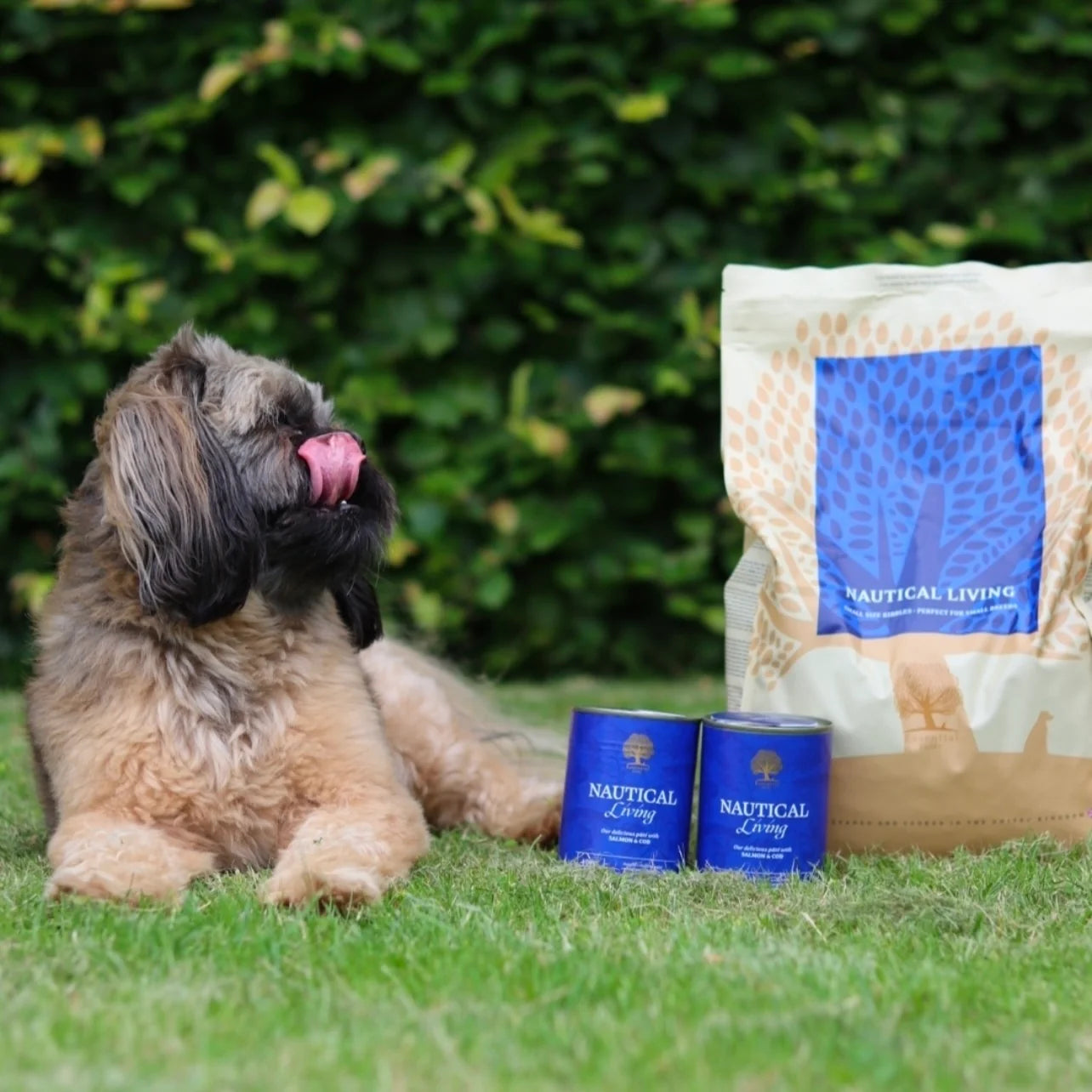 Essential Nautical Living Pâté, Adult, cu Somon si Cod, 400g