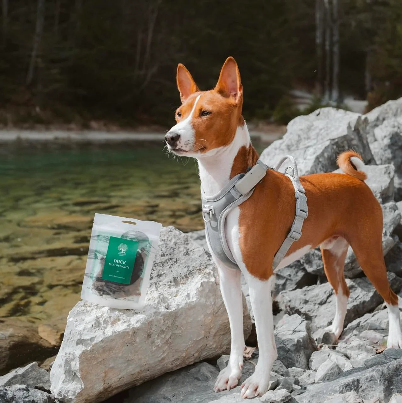 Essential Duck Mini Delights, Recompense Naturale pentru Caini, cu Rata, 100g