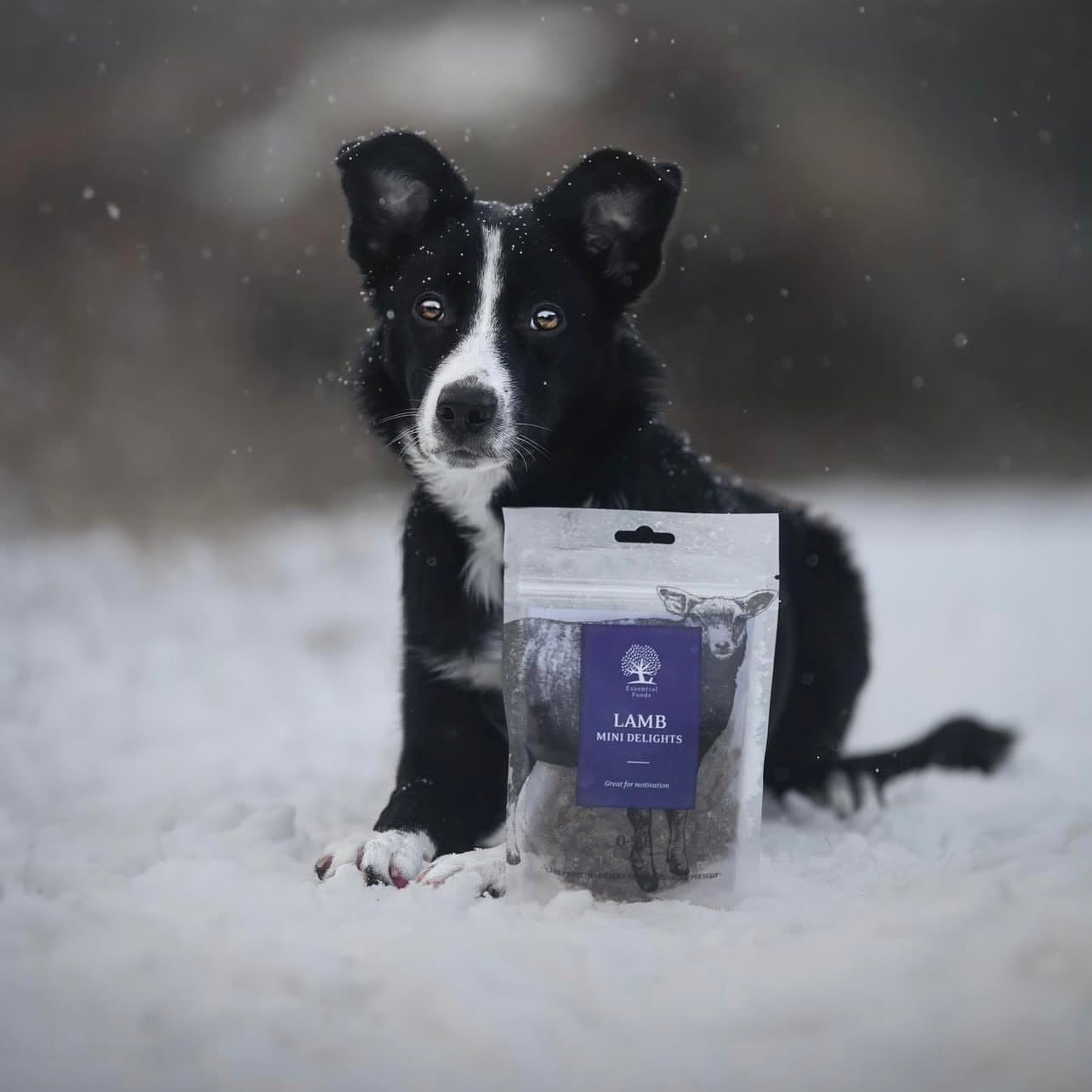 Essential Lamb Mini Delights, Recompense Naturale pentru Caini, cu Miel, 100g