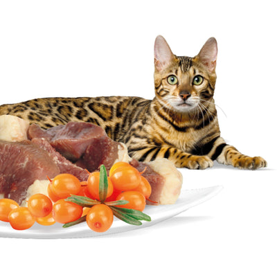 Rasco Premium Hrana umeda pentru Pisici Adult, cu Rata si Catina, 85g