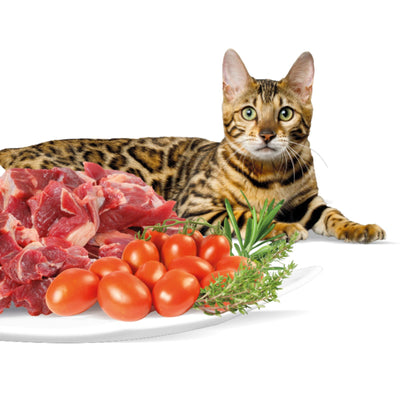 Rasco Premium Hrana umeda pentru Pisici Adult, cu Vita, Rosii si Ierburi Aromatice, 85g