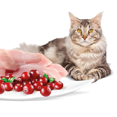 Rasco Premium Sterilized Hrana umeda pentru Pisici Sterilizate, cu Curcan si Merisoare, 85g