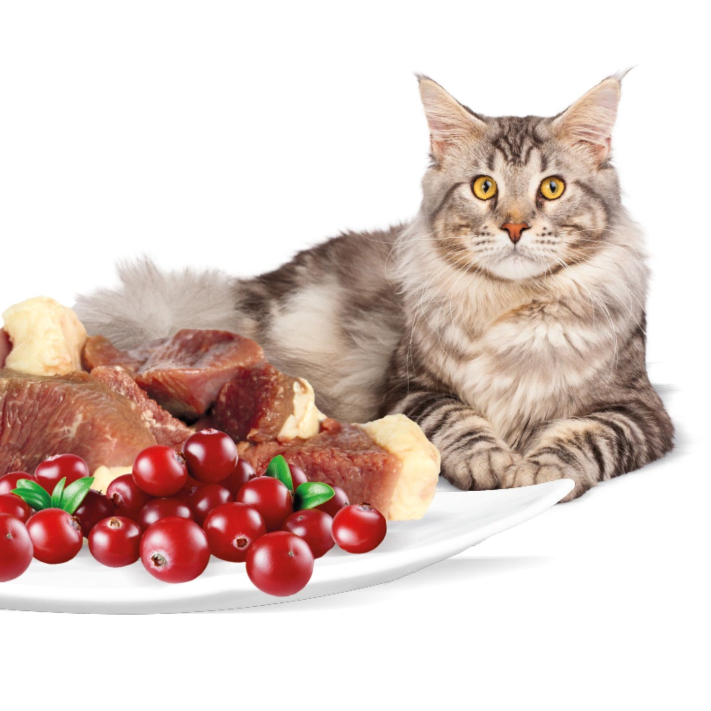 Rasco Premium Sterilized Hrana umeda pentru Pisici Sterilizate, cu Rata si Merisoare, 85g