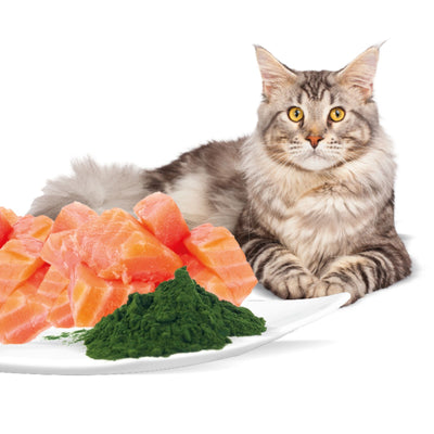 Rasco Premium Sterilized Hrana umeda pentru Pisici Sterilizate, cu Somon si Spirulina, 85g