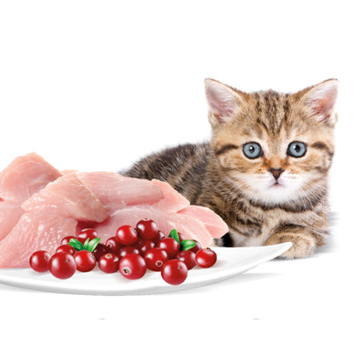 Rasco Premium Kitten, Hrana Umeda pentru Pisoi, Junior, cu Curcan si Merisoare, 85g