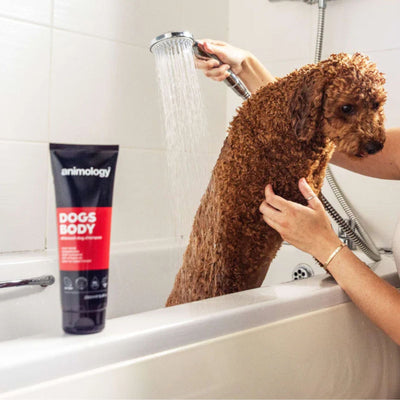 Sampon pentru Caini Universal Animology Dogs Body cu Vitamine si Balsam, 250 ml