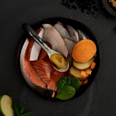 Canagan Scottish Salmon Cat, Hrana Uscata pentru Pisici, Adult si Junior, cu Somon Scotian si Hering, Fara Cereale, 375g / 1.5kg / 4kg