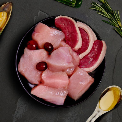 Canagan Chicken & Duck Plic, Hrana Umeda pentru Pisici, Adult, cu Pui si Rata, Fara Cereale, 85g