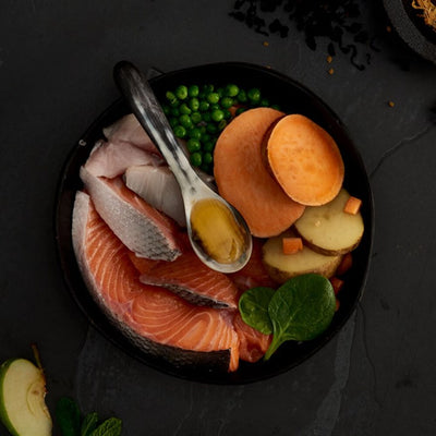 Canagan Scottish Salmon, Hrana Uscata pentru Caini, Adult si Junior, cu Somon Scotian, Pastrav si Hering, Fara Cereale, 12kg / 2kg