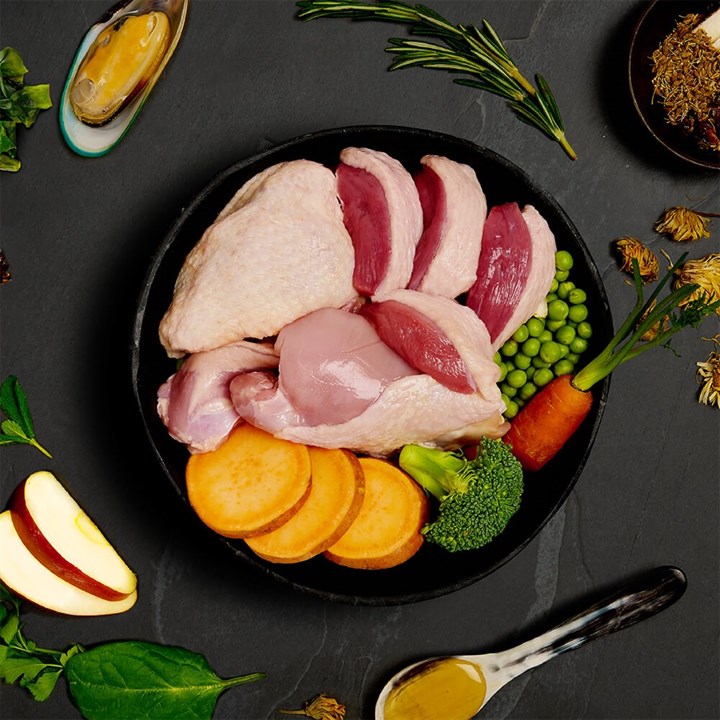 Canagan Turkey & Duck Dinner, Hrana Umeda Ultra Premium pentru Caini cu Curcan si Rata, 400g