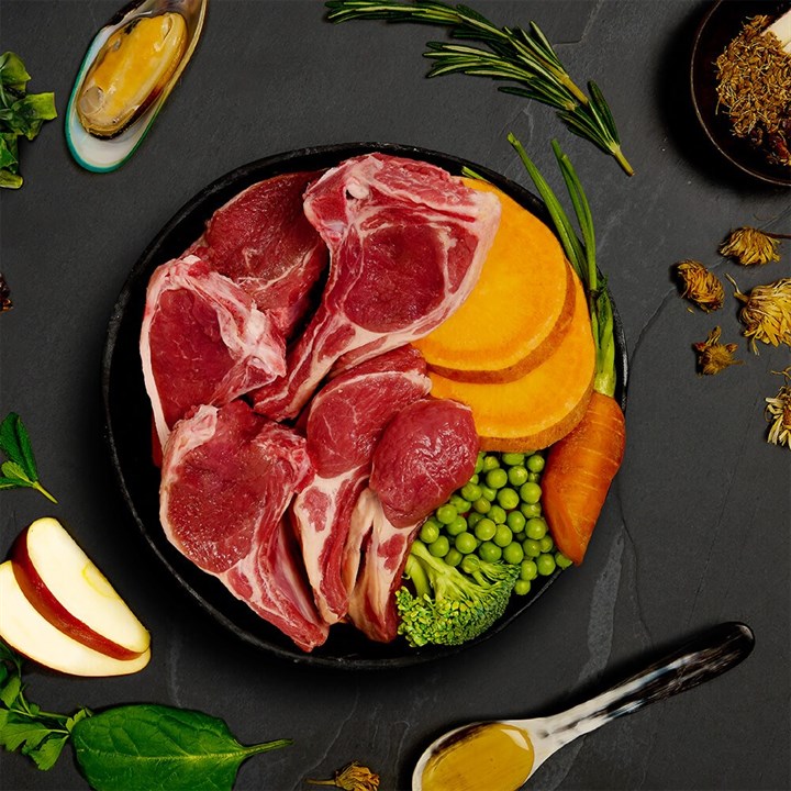 Canagan Lamb Casserole Wet Food, Hrana Umeda Ultra Premium pentru Caini cu Miel, Cartof Dulce si Legume, 400g