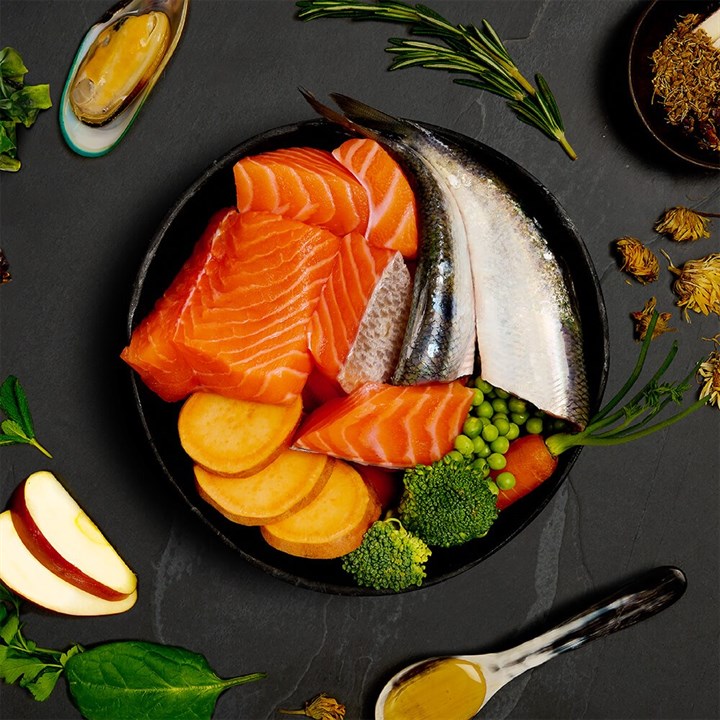 Canagan Salmon si Herring Supper, Hrana Umeda Ultra Premium pentru Caini cu Somon, Hering si Midii, 400g