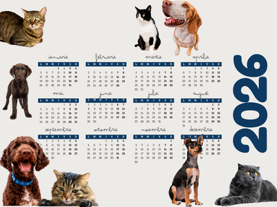 Calendarul Complet 2026: Sărbători, Zile Internaționale și Evenimente pentru Animale