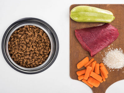 "Human Grade" în Hrana pentru Animale: Ce Înseamnă și De Ce Contează pentru Sănătatea Câinelui sau Pisicii Tale