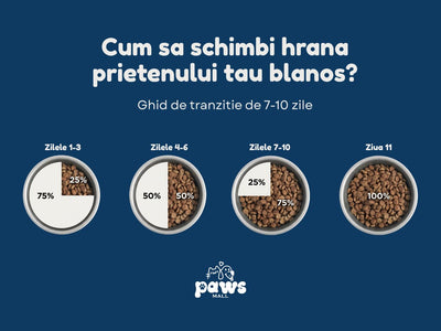 Ghid Complet: Cum schimbi corect mâncarea la Câini și Pisici (Fără probleme digestive)