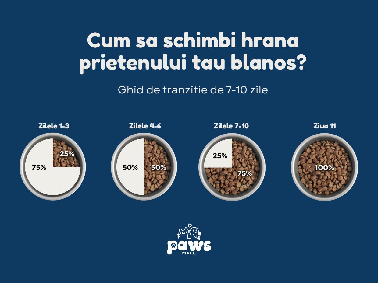 Ghid Complet: Cum schimbi corect mâncarea la Câini și Pisici (Fără probleme digestive)