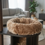 Meraki Home, Ansamblu pentru Pisici, Realizat din Lemn, ESPRESSO CLOUD SMALL