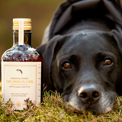 Essential The OMEGA 3 OIL, Ulei de Somon Norvegian 100%, Sustinere Articulatii si Sanatate Blana, 500ml