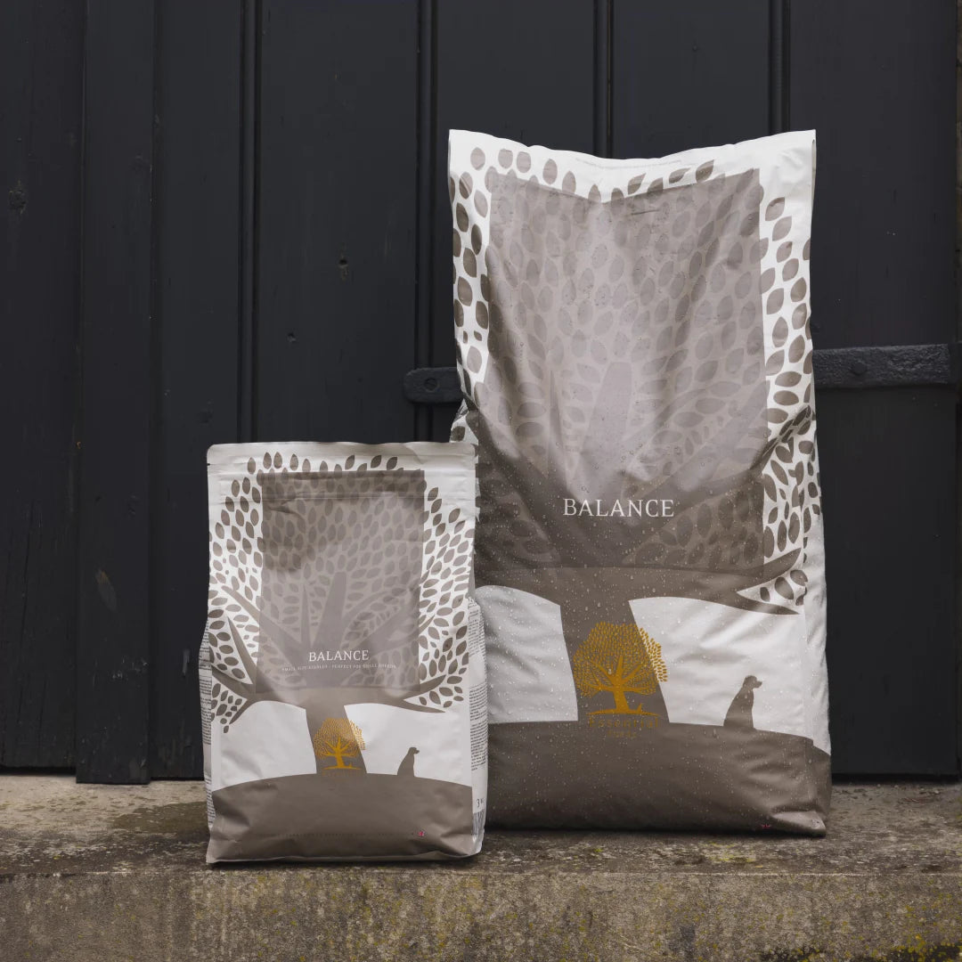 Essential Balance, Hrana uscata pentru Caine, Adult, Monoproteica, cu Curcan si Orez, Crocheta Mica, 2.5kg