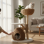 Meraki Home, Ansamblu pentru Pisici, Inspirat din Natura, NATURAL COCONUT NEST