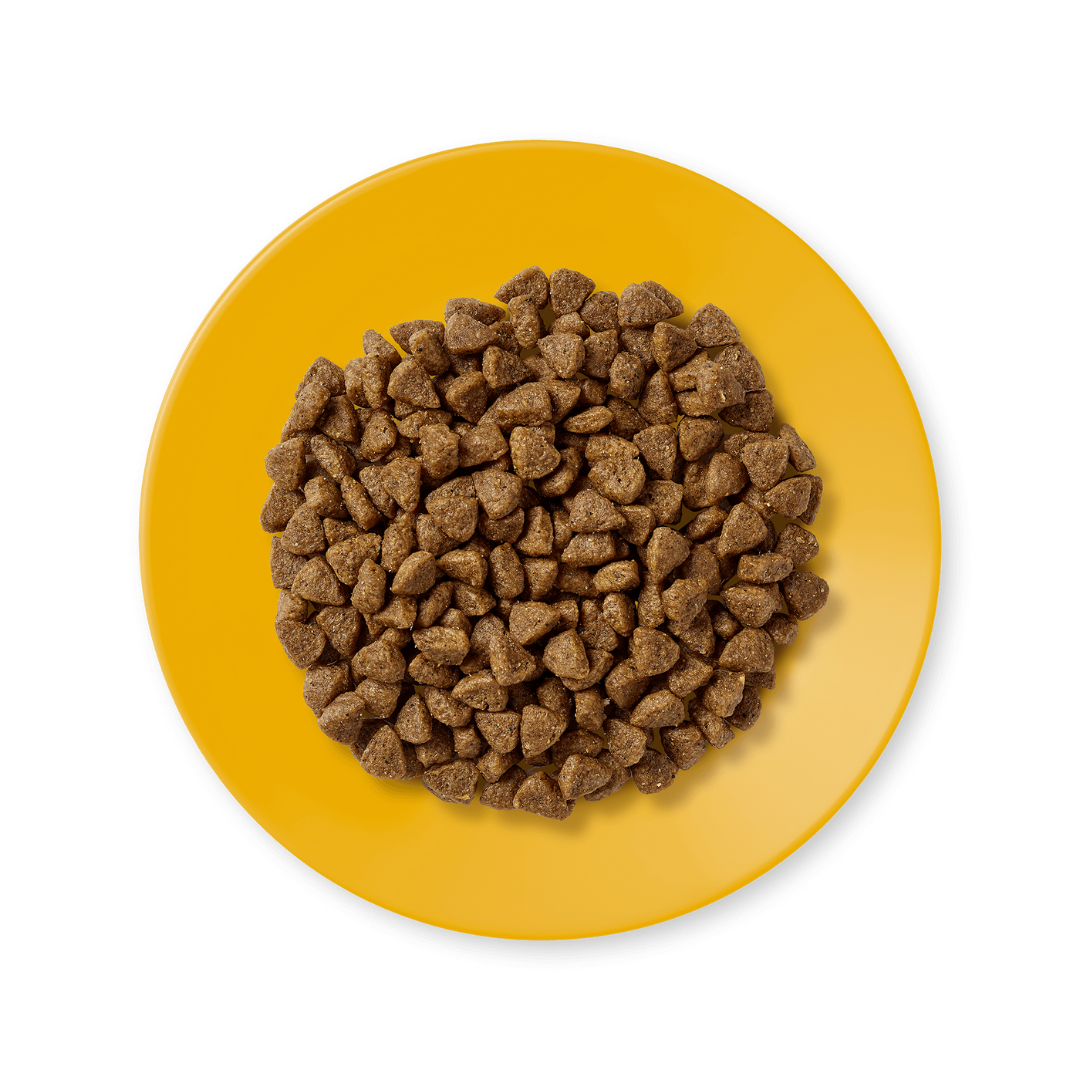 APPLAWS Hrana Uscata cu Pui pentru Pisoi, Junior, Fara Cereale, 2kg / 7.5kg