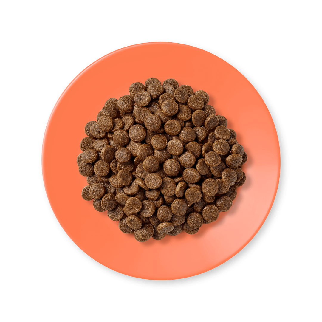 APPLAWS Hrana Uscata cu Pui si Somon pentru Pisica, Adult, Fara Cereale, 2kg / 7.5kg