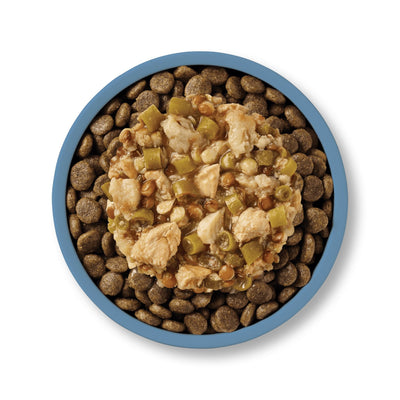APPLAWS Taste Toppers Plic, Hrana Umeda Complementara pentru Caini Adulti, cu Peste Alb, Somon, Fasole Verde si Linte in Sos, Fara Cereale, 100% Natural, 85g