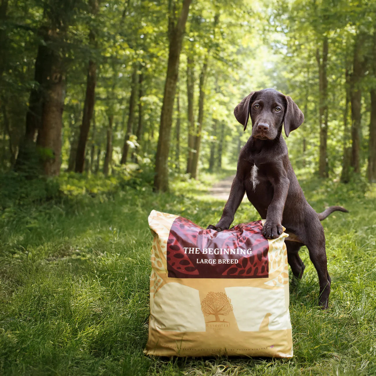 Essential The Beginning Large Breed, Hrana uscata pentru Caini Junior, Talie Mare, cu Pui, Rata si Somon, Crocheta Mare, 10kg