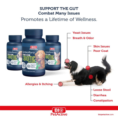 Bio PetActive Synbioflora pentru Caini de Talie Medie si Mare, Supliment cu Probiotice si Prebiotice, 60 tablete
