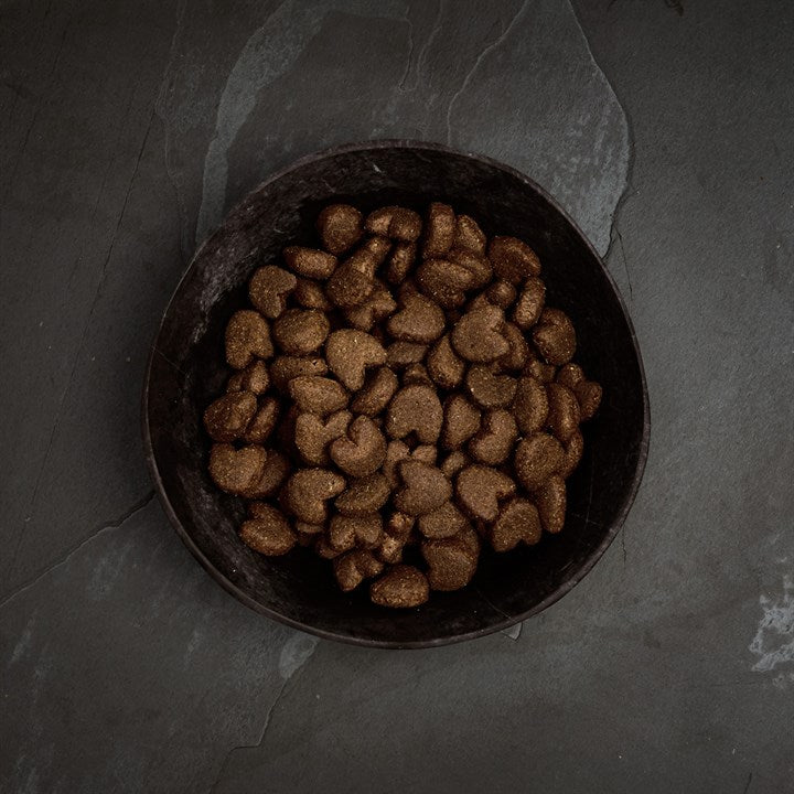 Canagan Free Range Chicken Large Breed, Hrana Ultra Premium pentru Caini pentru Talie Mare si Gigant (Suport Articular Intens), 12kg / 2kg