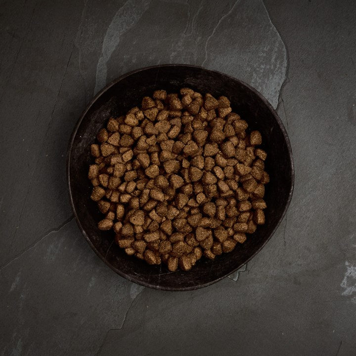 Canagan Free Range Chicken, Hrana Ultra Premium pentru Caini cu Pui Crescut in Aer Liber & Cartof Dulce 12kg / 2kg