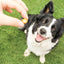 Churu Dog Fun Bites Recompense pentru Caini, cu Pui si Dovleac, Fara Cereale, 8 x 12g