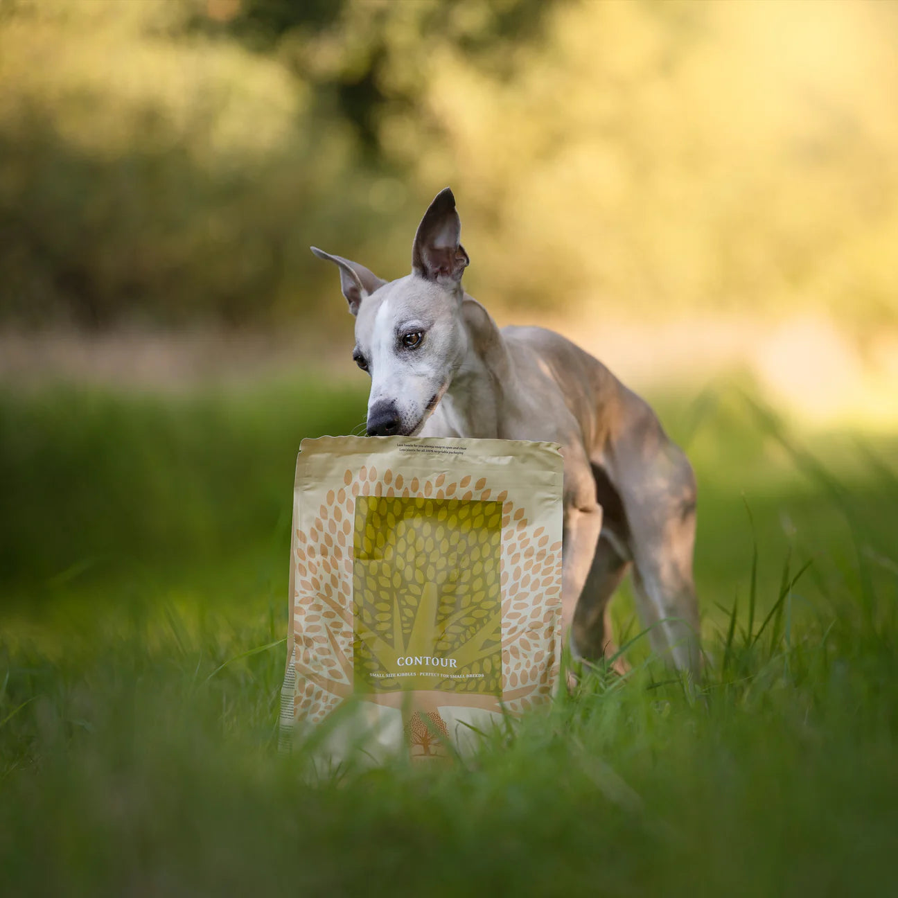 Essential Contour Small Size, Hrana Uscata pentru Caini Sterilizati si Control Greutate, Crocheta Mica, 2.5kg