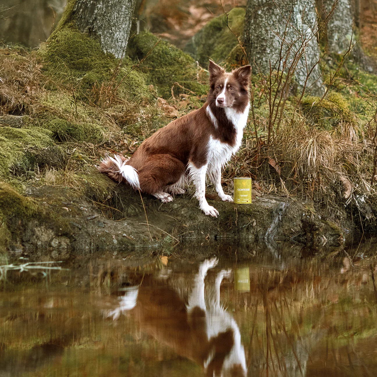 Essential Contour Pâté, Sterilizat si Controlul Greutatii, cu Rata si Pui, 400g