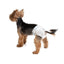 Croci Dog Nappy, Chiloti Absorbanti pentru Caini cu Indicator Umiditate, Marimea M 32-44cm, Set 12 Bucati