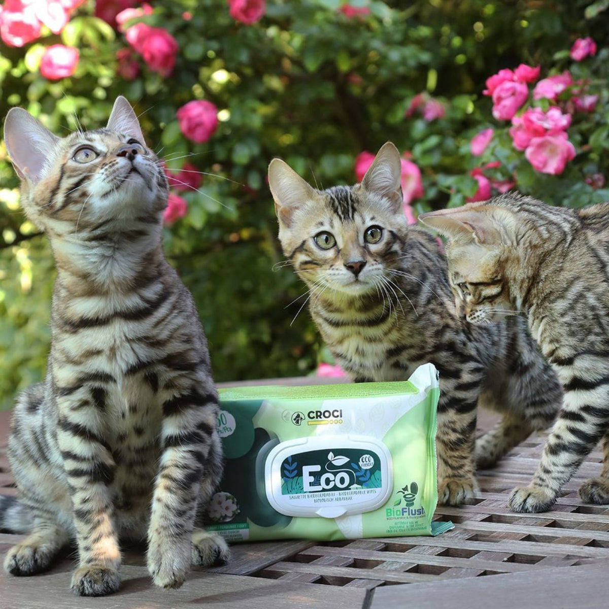 Croci Eco Pet Wipes, Servetele Umede Biodegradabile pentru Caini si Pisici, cu Migdale si Unt de Shea, 30 buc, 20 x 30 cm