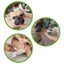 Croci Eco Pet Wipes, Servetele Umede Biodegradabile pentru Caini si Pisici, cu Migdale si Unt de Shea, 30 buc, 20 x 30 cm