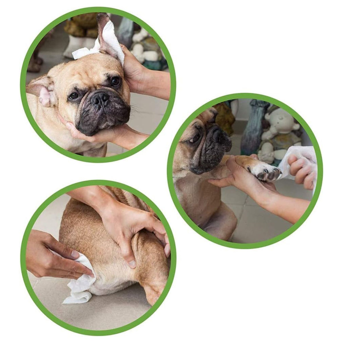 Croci Eco Pet Wipes, Servetele Umede Biodegradabile pentru Caini si Pisici, cu Migdale si Unt de Shea, 30 buc, 20 x 30 cm