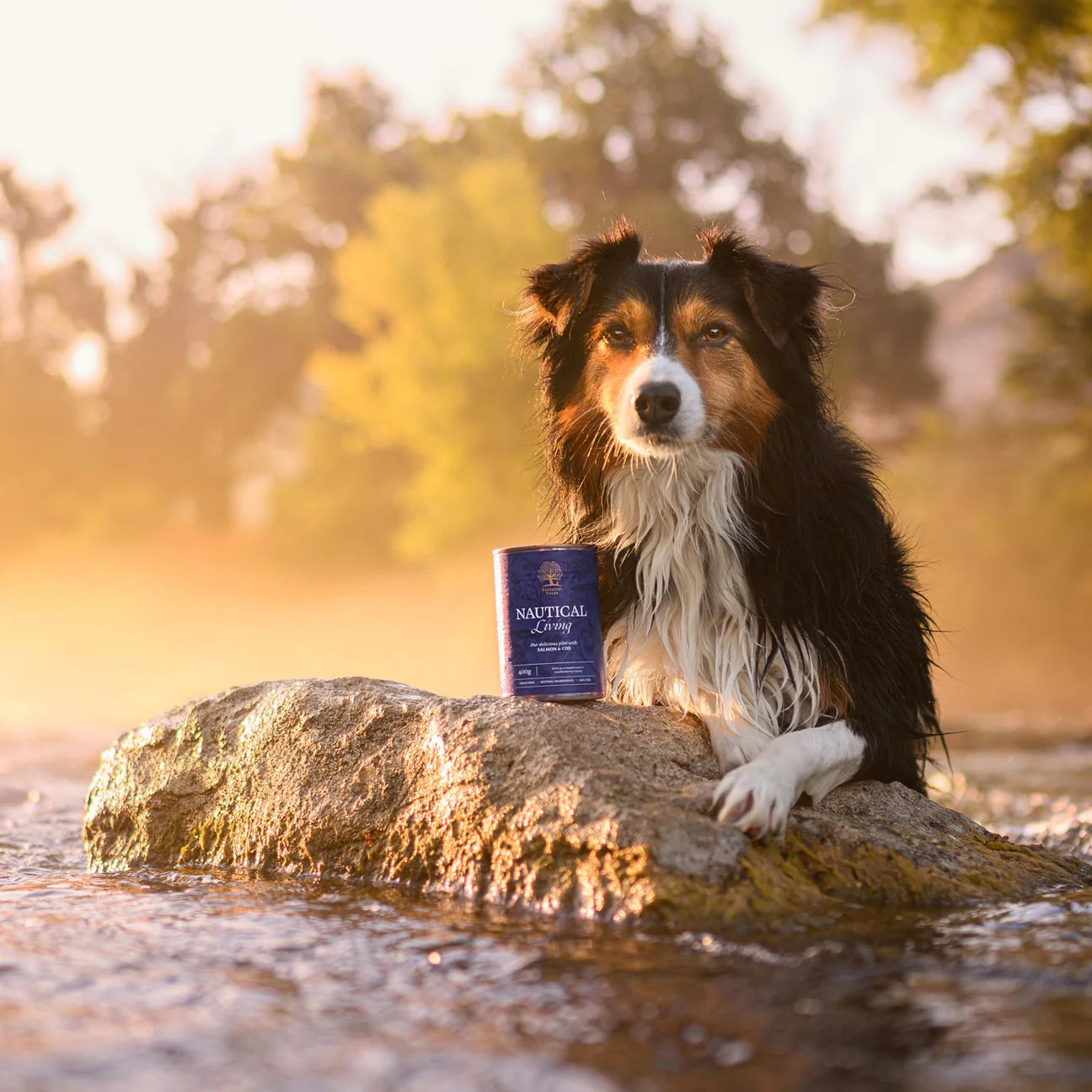 Essential Nautical Living Pâté, Adult, cu Somon si Cod, 400g