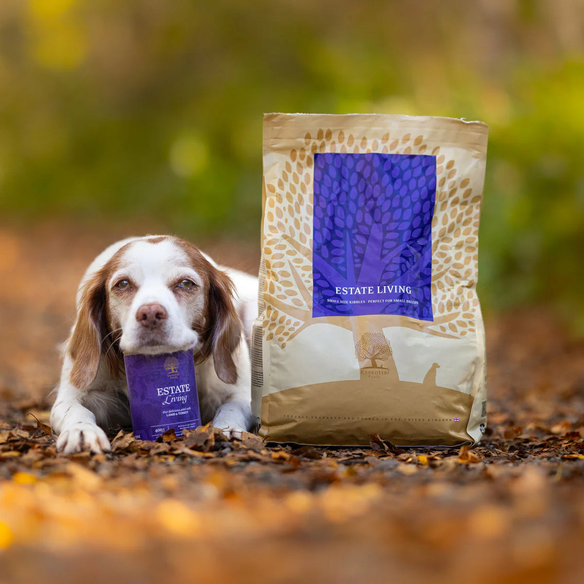 Essential Estate Living Pâté, Adult cu Miel si Curcan, 400g